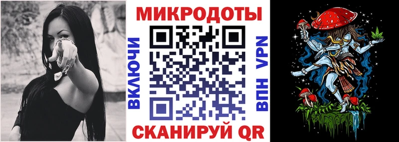 Галлюциногенные грибы Psilocybine cubensis  Казань 